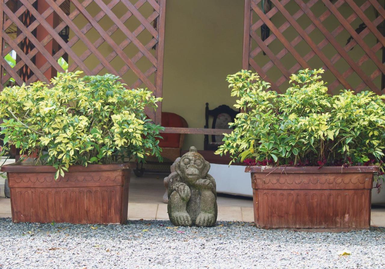 Hotel Arte Natura ラ・フォルトゥナ エクステリア 写真